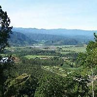 Turrialtico Mountain Lodge ซานโฮเซ ภายนอก รูปภาพ